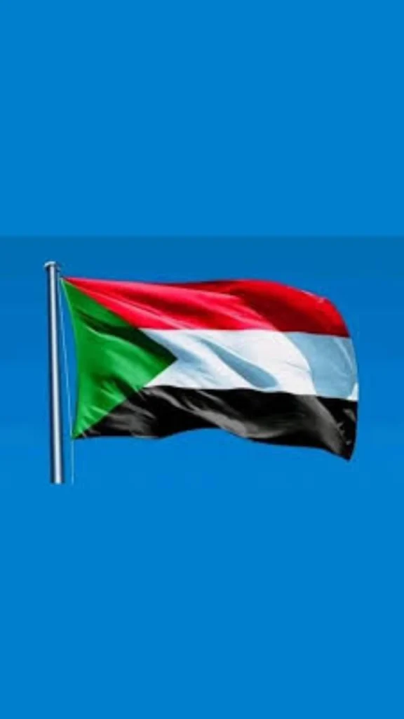 مقتل 28 مدنياً في هجوم لقوات الدعم السريع على مستريحة بشمال دارفور وتدمير المركز الصحي