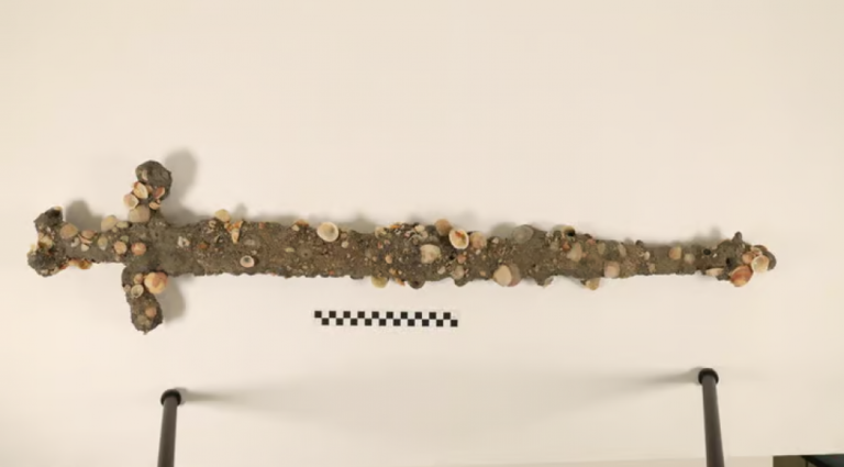 اكتشاف سيف صليبي يعود للقرن الثاني عشر في قاع بحر حيفا