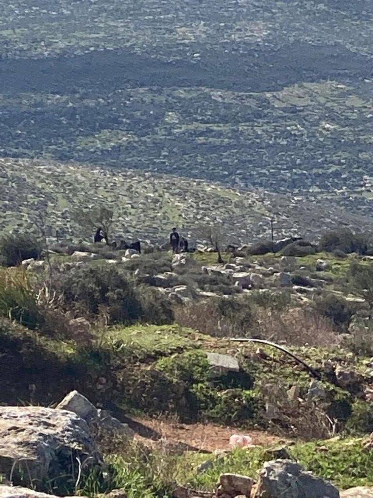 هآرتس: منح 66 رخصة بناء للفلسطينيين مقابل 22 ألفًا للمستوطنين بين 2009 و2020