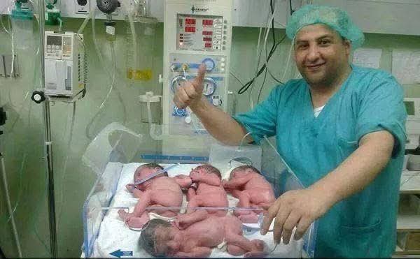 1701 مولود جديد في غزة خلال مايو.. محافظة غزة تتصدر عدد المواليد