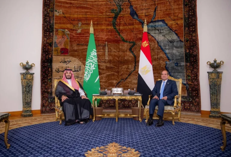 اتفاق مصري-سعودي على خطوات عملية لتعزيز التجارة والاستثمار .