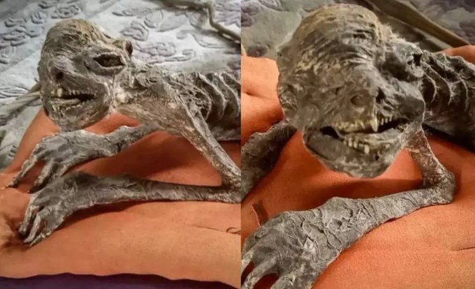 مومياء غريبة تثير الجدل في اليابان